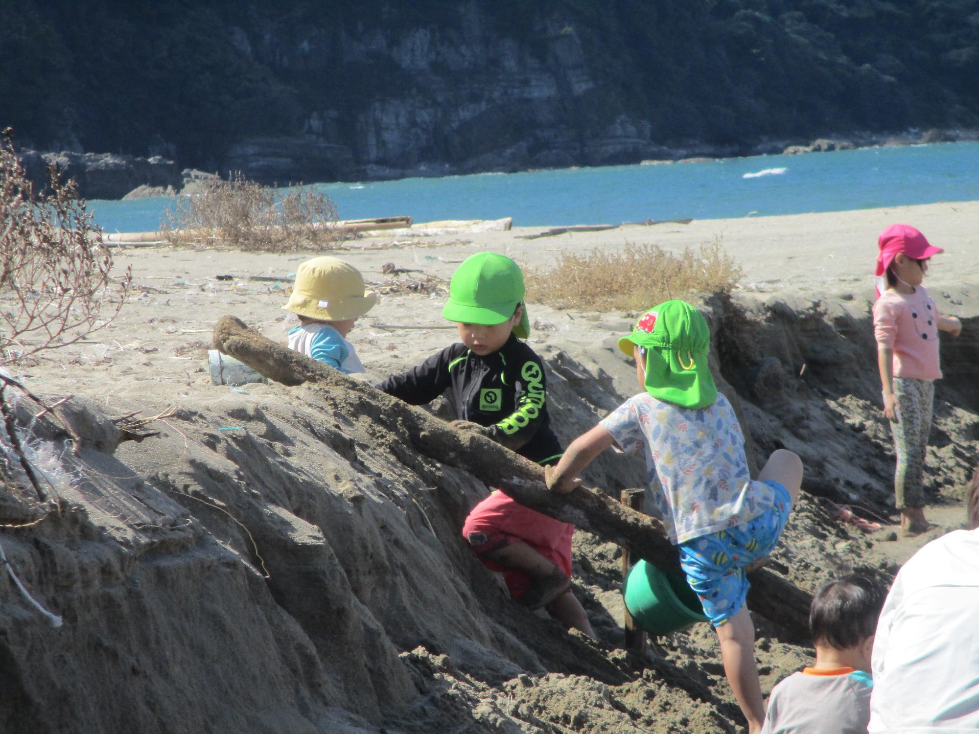 木をはしごにして、のぼってみよう！