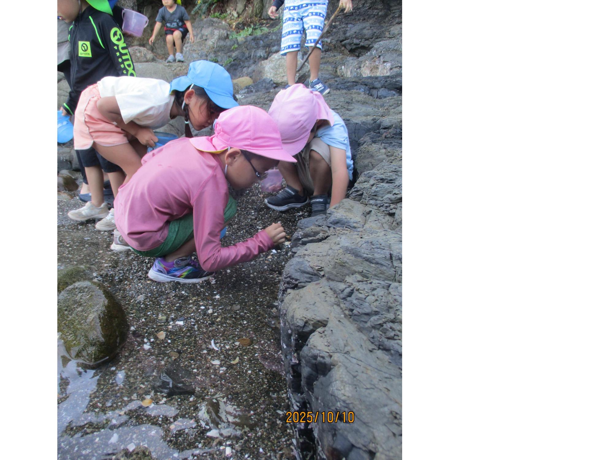 きれいな貝も沢山あったよ