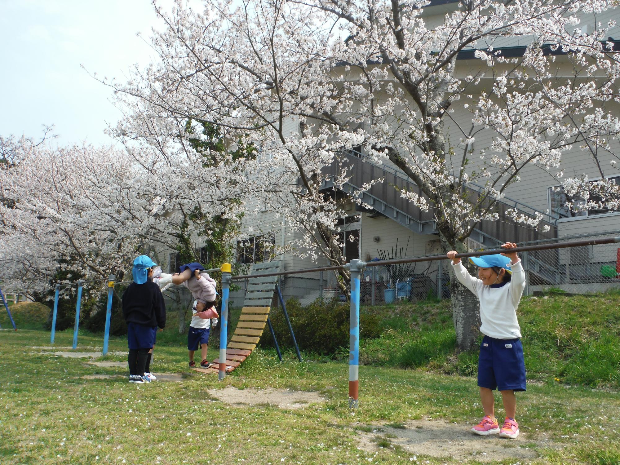 桜の木の下で鉄棒であそんだよ