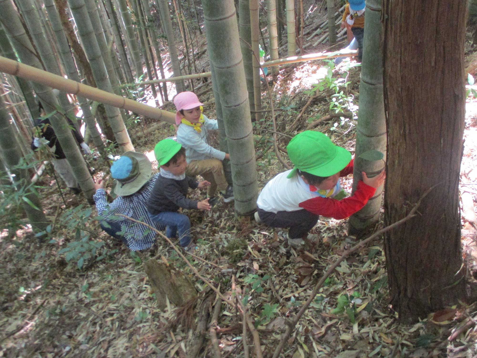 3歳児さんもがんばってのぼっているよ