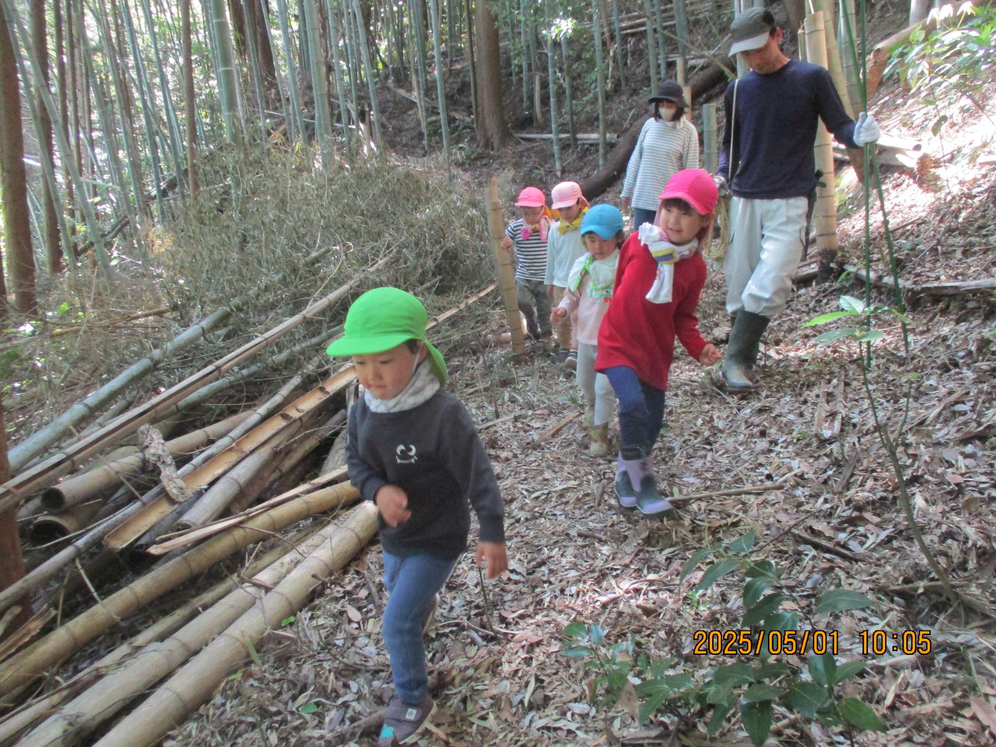 ぐんぐんのぼろう！上まで行ってみよう
