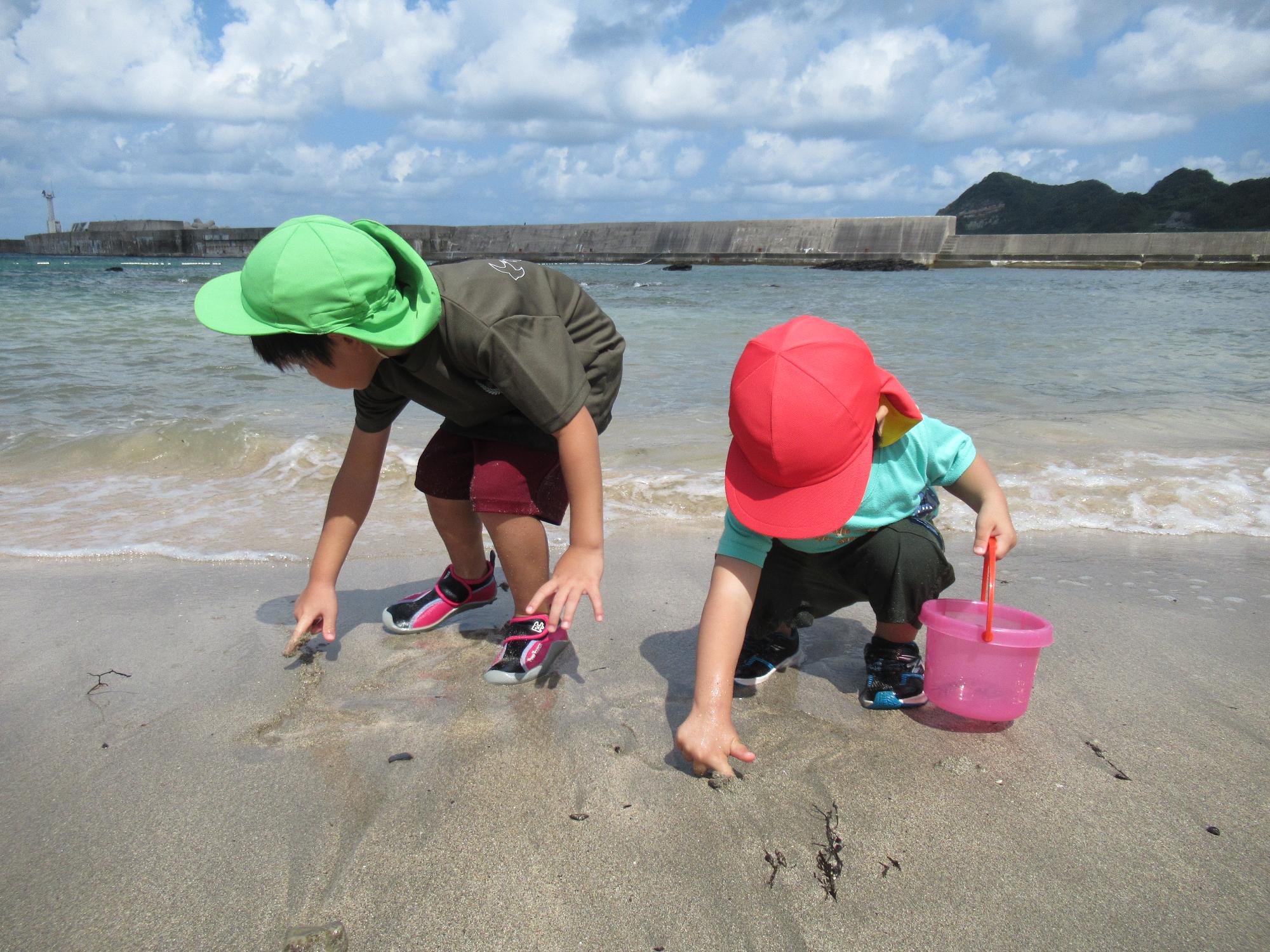 子どもたちが波打ち際で砂を掘って何かいいものをさがしています。