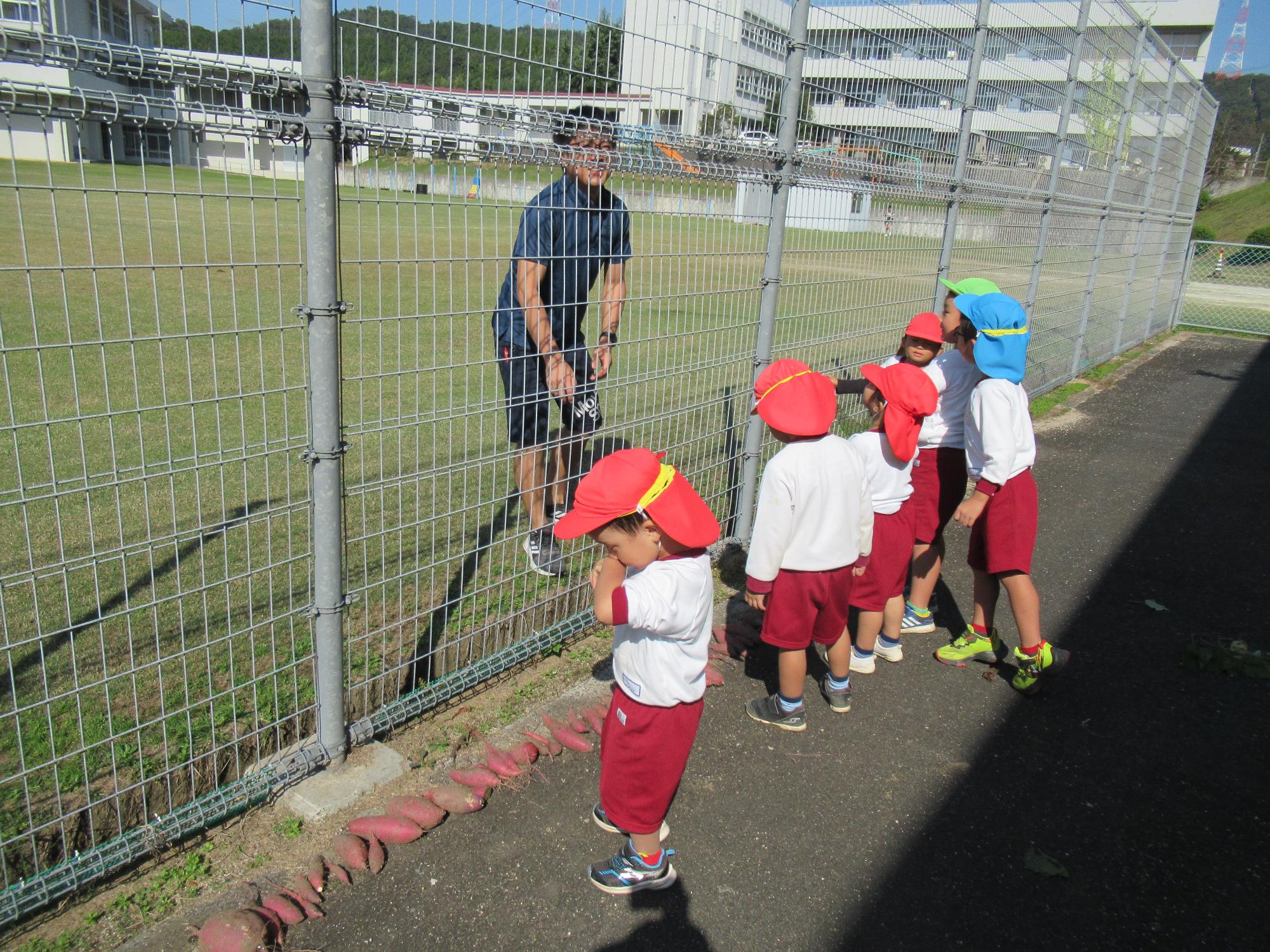 フェンス越しにさつまいもがたくさん掘れたことを小学校の先生に話す子どもたち。