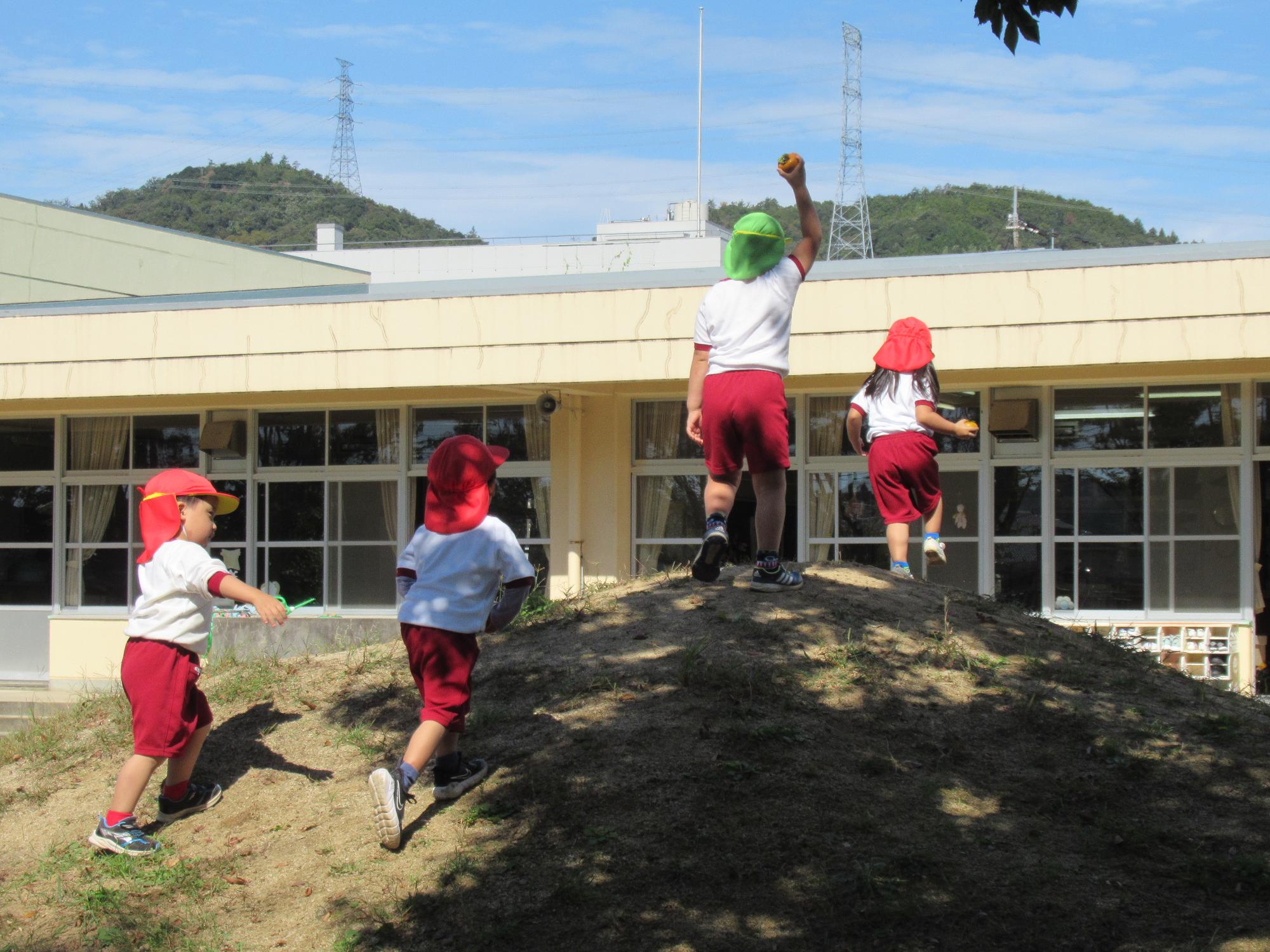 柿を取り、うれしくて築山の上までかけ上がる子どもたち