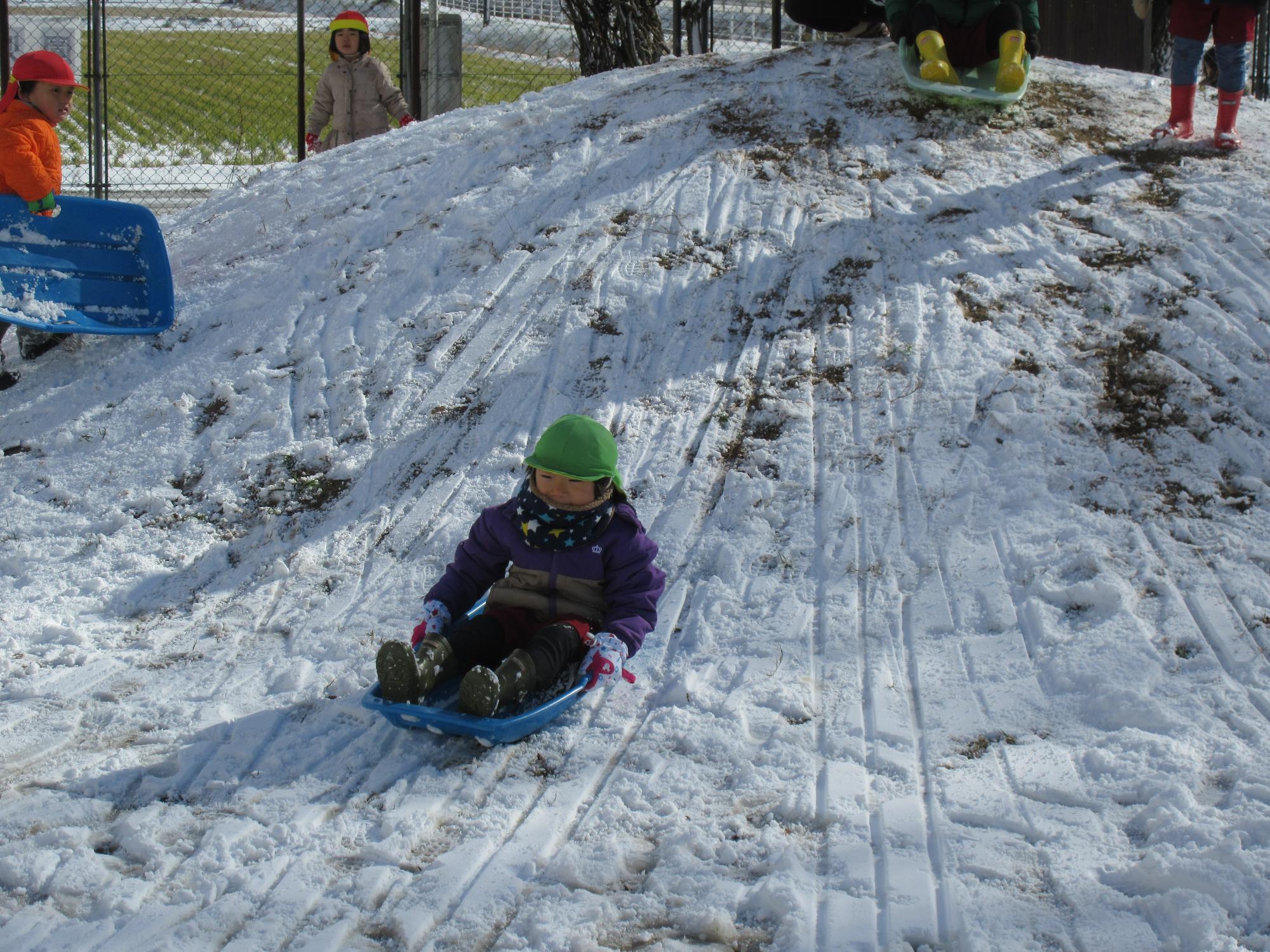 雪が降ったので、子どもたちが園庭の築山でそり遊びをしています。