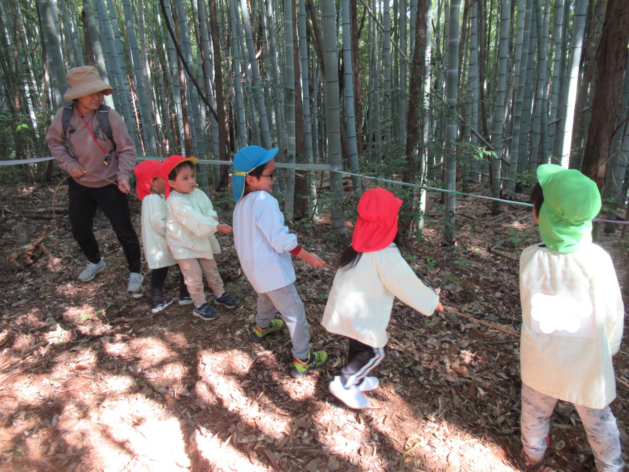 子どもたちが先生と一緒に秋葉山で見つけたつるを力を合わせて引っ張っています。