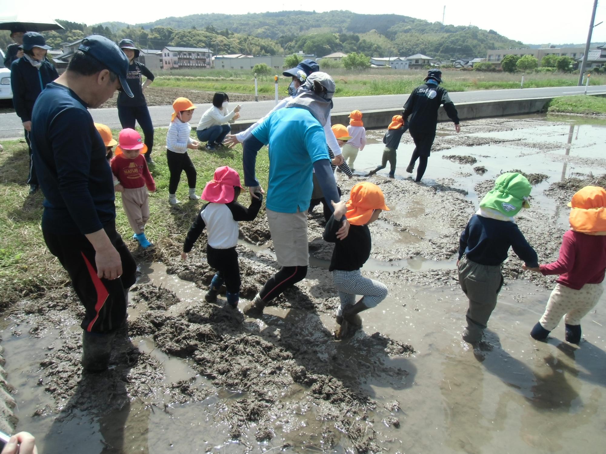 田んぼに入る様子
