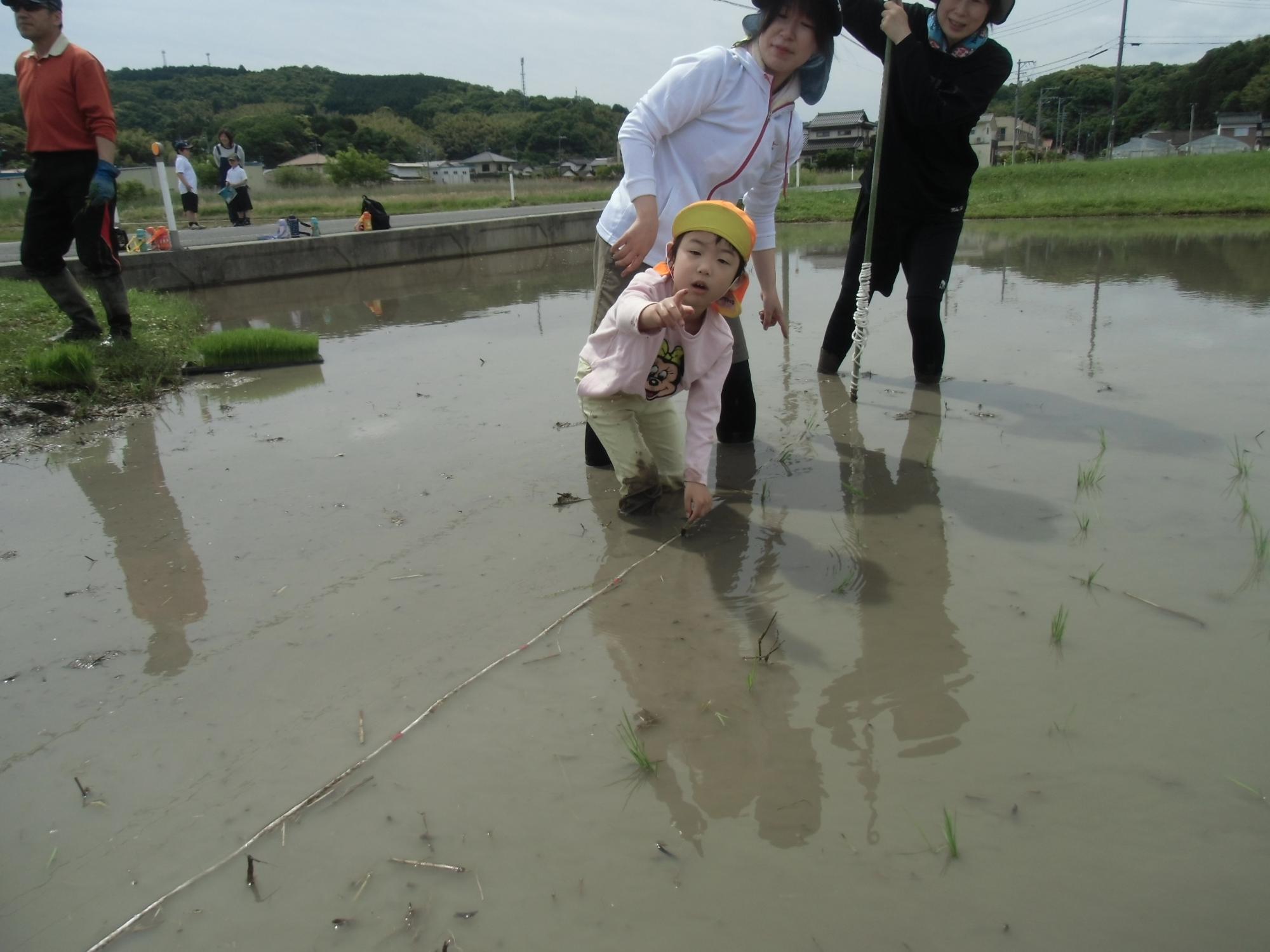 一人で頑張る様子