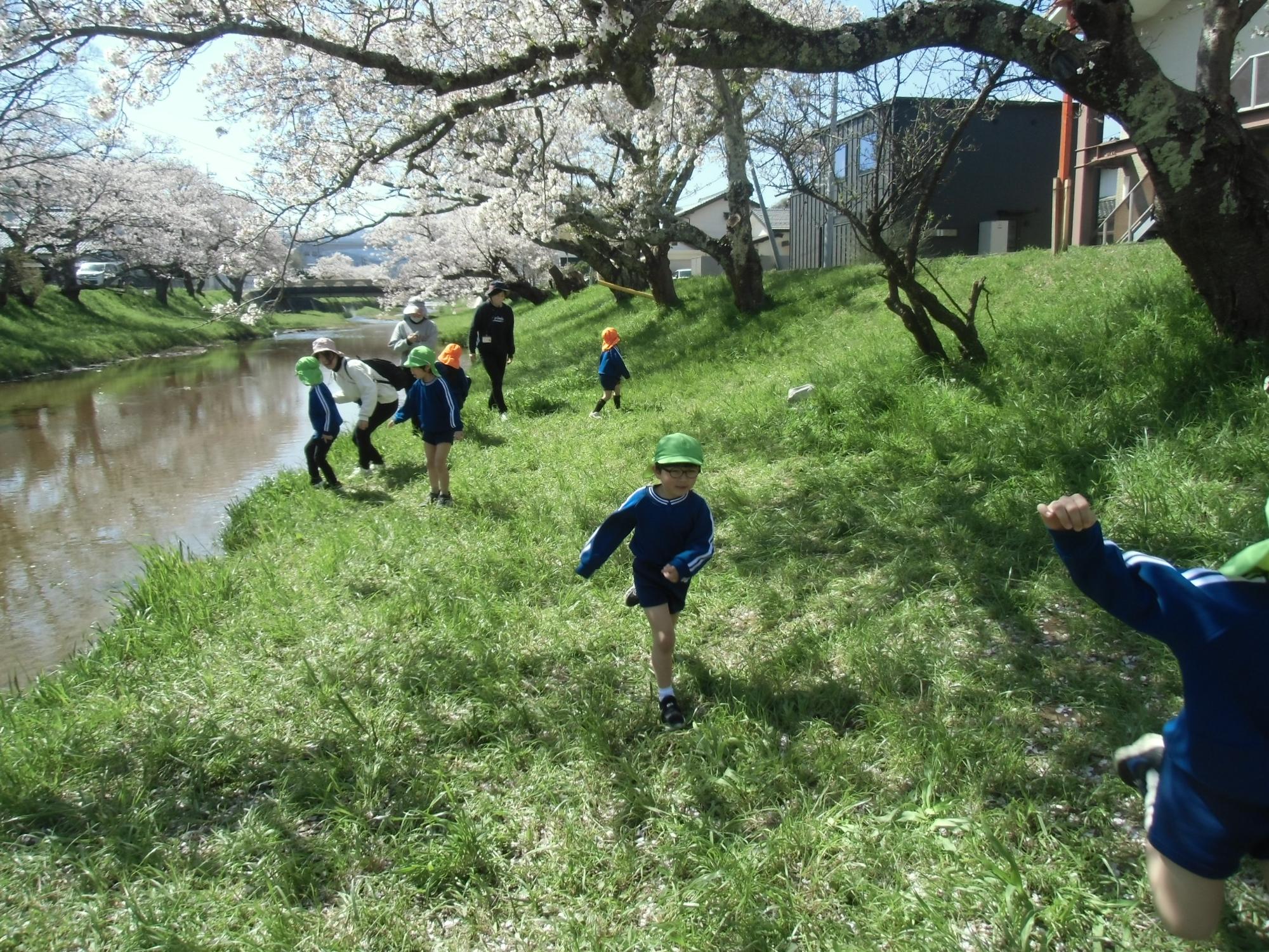 桜の木の下で遊ぶ様子