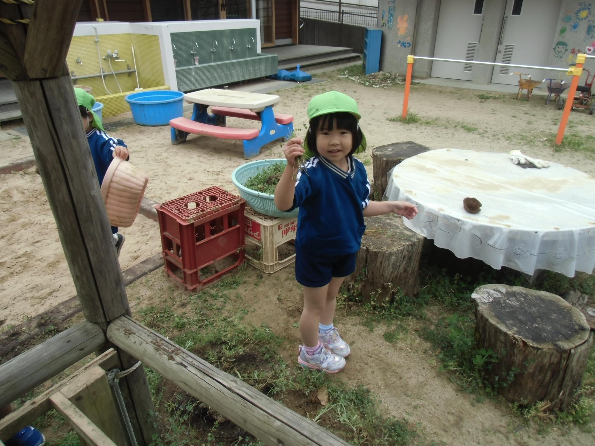 草を抜く様子