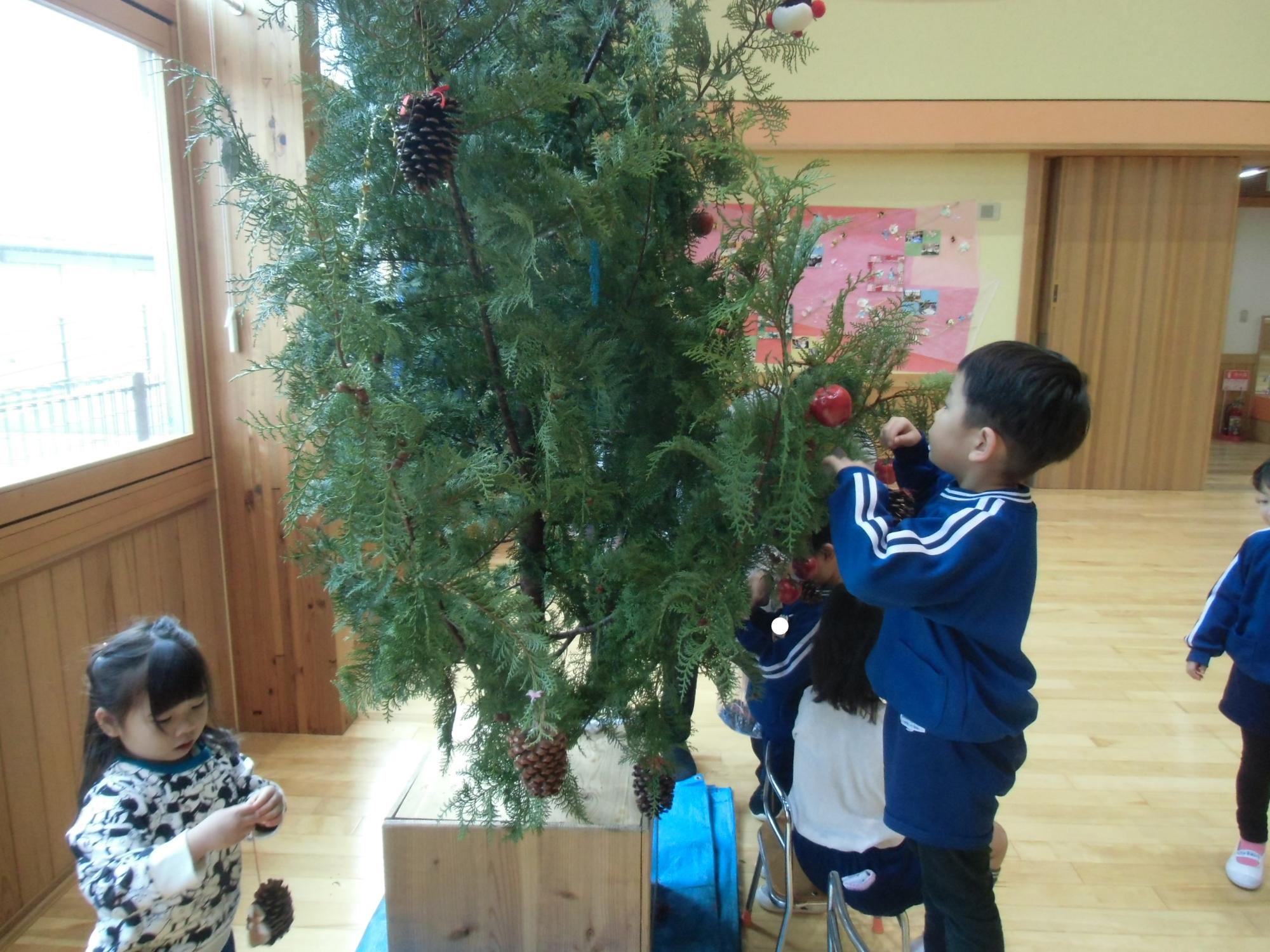 大きなツリーを飾る様子