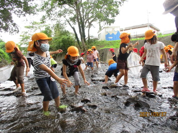 意東川で川遊びをしている園児たちの写真