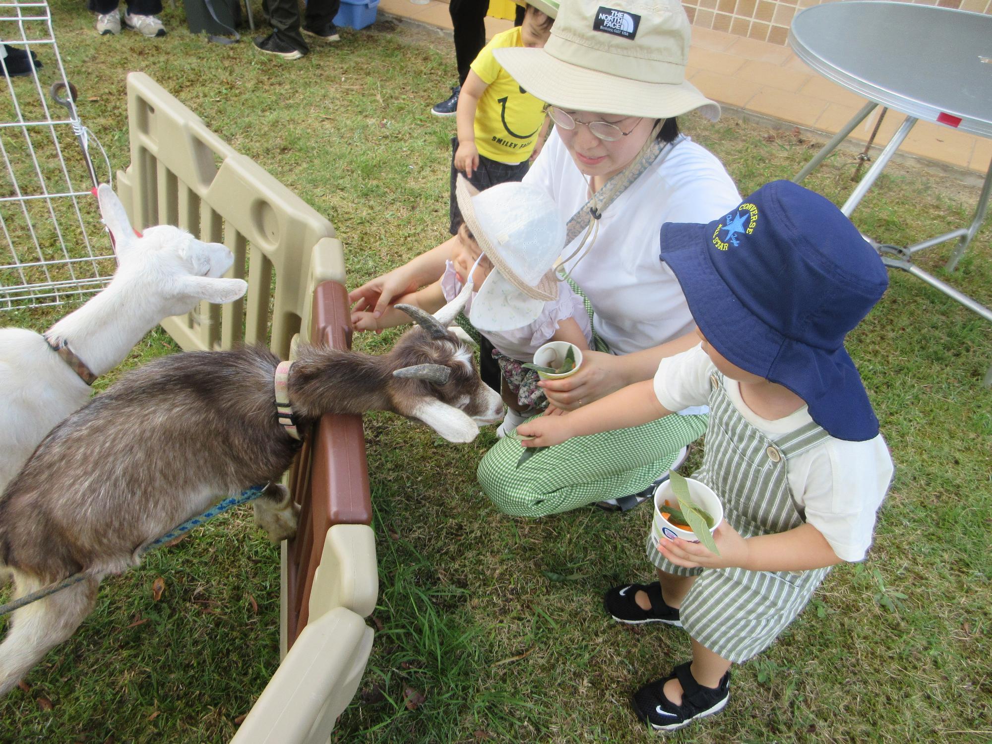 「バンビデー」動物と触れ合おう