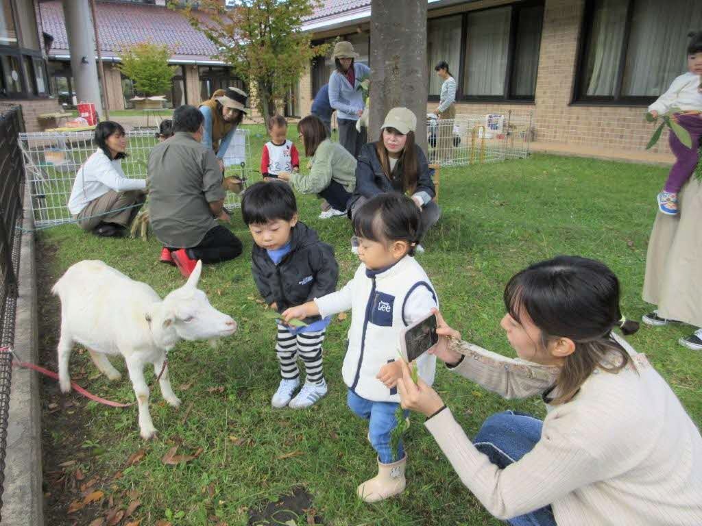 バンビデーの事業で、動物とふれあっている様子