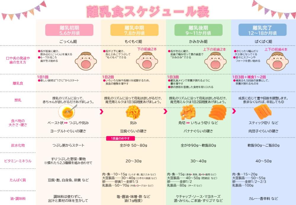 こどもの食事(離乳食)や歯について知りたい