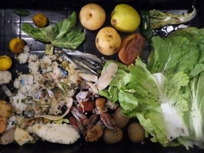 令和6年度食ロス調査写真4