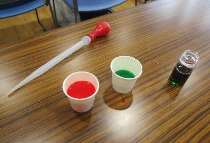 実験の様子