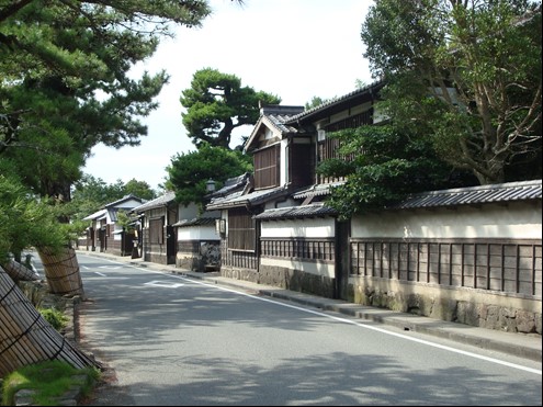 武家屋敷の建物が隣接し、建物や通りに面した道などに大きな松並木が立っている風景写真
