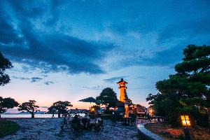 社会実験の様子