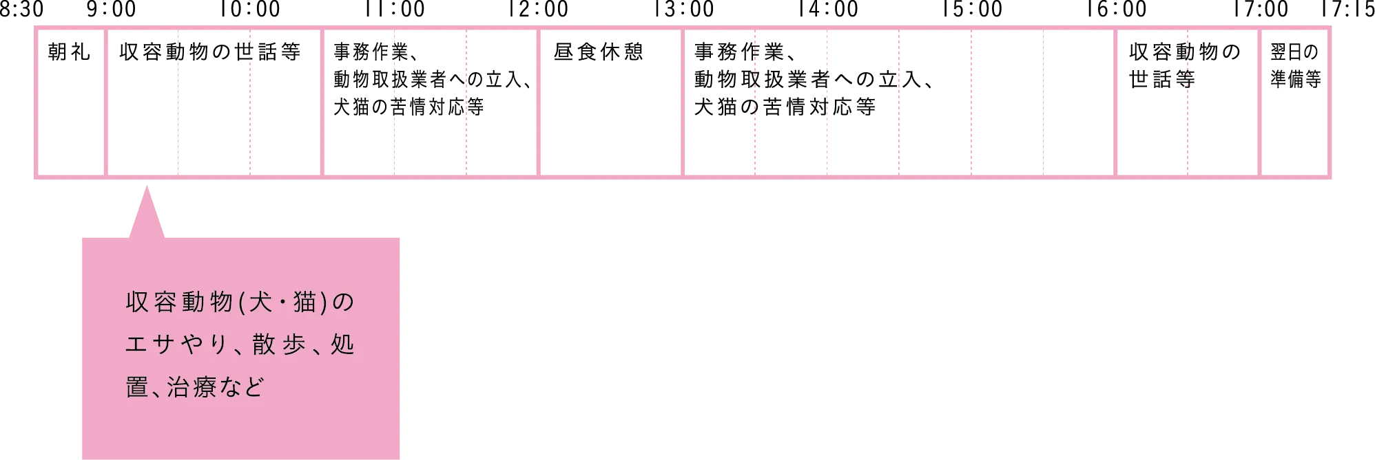One day's schedule